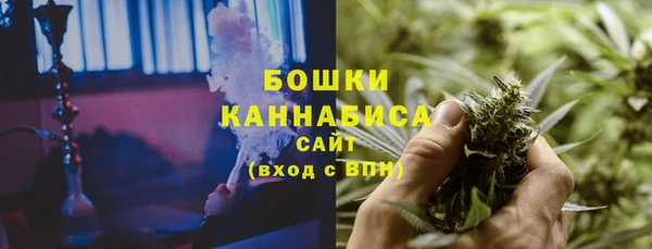 ГАЛЛЮЦИНОГЕННЫЕ ГРИБЫ Горнозаводск