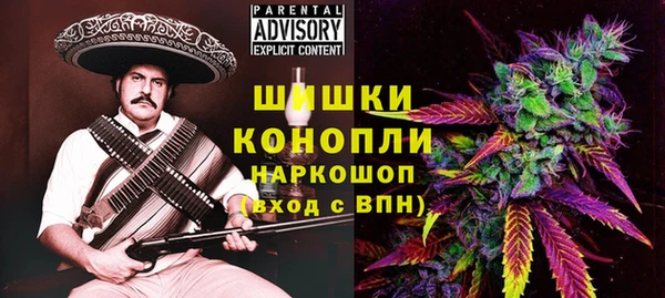 ГАЛЛЮЦИНОГЕННЫЕ ГРИБЫ Горнозаводск