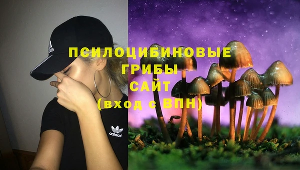 ГАЛЛЮЦИНОГЕННЫЕ ГРИБЫ Горнозаводск