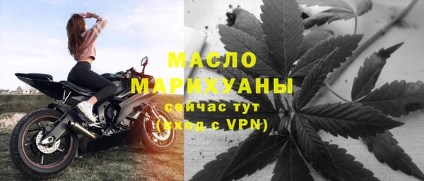 сатива Горно-Алтайск