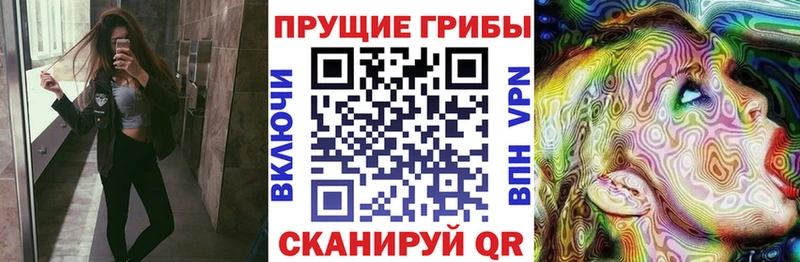 закладки  Псков  Галлюциногенные грибы Magic Shrooms 